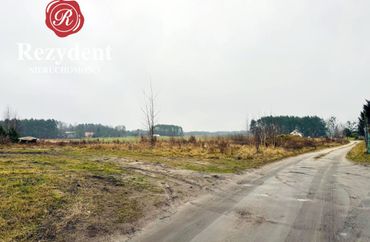 15590569 - zdjęcie ogłoszenia