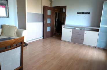 15607010 - zdjęcie ogłoszenia