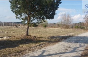 15613028 - zdjęcie ogłoszenia