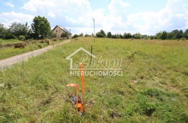 15620904 - zdjęcie ogłoszenia