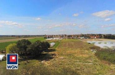 15646787 - zdjęcie ogłoszenia