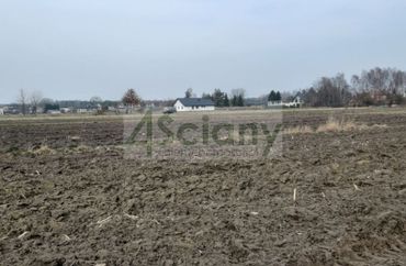 15650461 - zdjęcie ogłoszenia