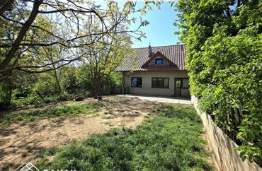 15650524 - zdjęcie ogłoszenia