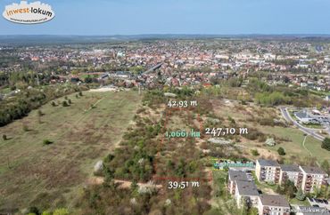 15659522 - zdjęcie ogłoszenia