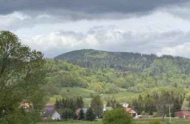15666956 - zdjęcie ogłoszenia