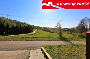 15666973 - zdjęcie ogłoszenia