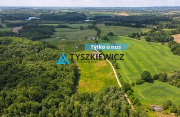 15675595 - zdjęcie ogłoszenia