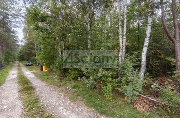 15682090 - zdjęcie ogłoszenia