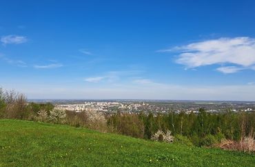 15683671 - zdjęcie ogłoszenia