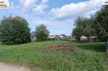 15692358 - zdjęcie ogłoszenia