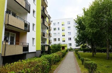 15698808 - zdjęcie ogłoszenia