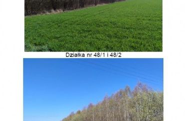 15709591 - zdjęcie ogłoszenia