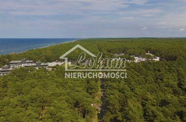 15710017 - zdjęcie ogłoszenia