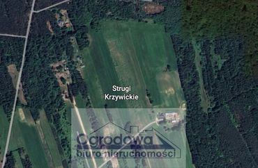 15714855 - zdjęcie ogłoszenia