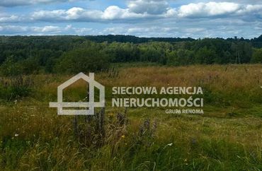15726936 - zdjęcie ogłoszenia