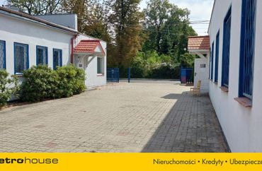 15730512 - zdjęcie ogłoszenia