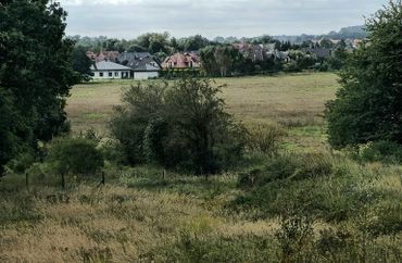 15731941 - zdjęcie ogłoszenia