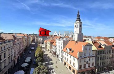 15734989 - zdjęcie ogłoszenia