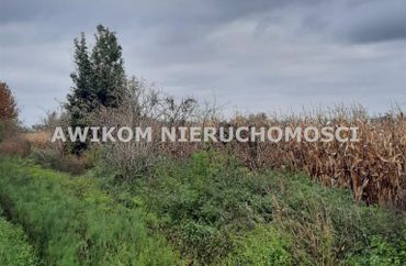 15736775 - zdjęcie ogłoszenia