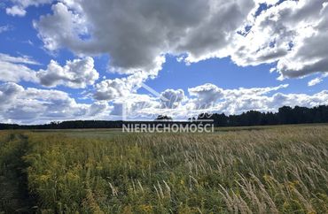 15746373 - zdjęcie ogłoszenia