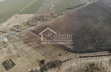 15765046 - zdjęcie ogłoszenia