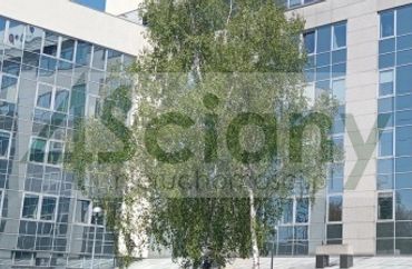 15773271 - zdjęcie ogłoszenia