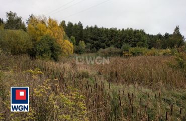 15776357 - zdjęcie ogłoszenia
