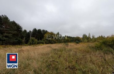 15776358 - zdjęcie ogłoszenia