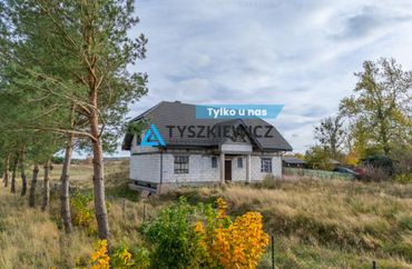15776593 - zdjęcie ogłoszenia