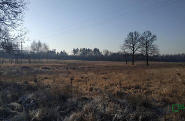 15789590 - zdjęcie ogłoszenia