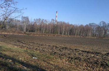 15789591 - zdjęcie ogłoszenia