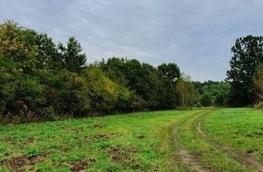 15798277 - zdjęcie ogłoszenia