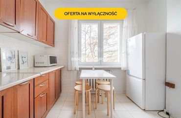 15807660 - zdjęcie ogłoszenia