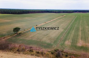 15810751 - zdjęcie ogłoszenia