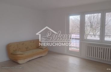 15810859 - zdjęcie ogłoszenia