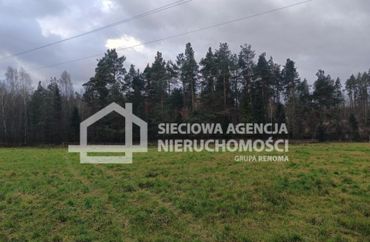 15829229 - zdjęcie ogłoszenia
