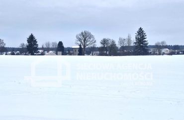 15829843 - zdjęcie ogłoszenia