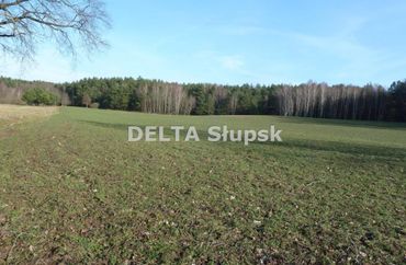 15835490 - zdjęcie ogłoszenia