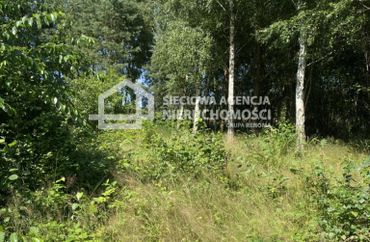 15836765 - zdjęcie ogłoszenia