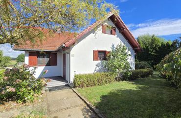 15844205 - zdjęcie ogłoszenia