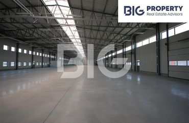 15852829 - zdjęcie ogłoszenia
