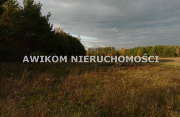 15858136 - zdjęcie ogłoszenia