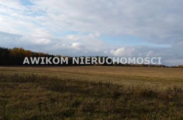 15858138 - zdjęcie ogłoszenia