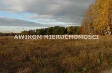 15858149 - zdjęcie ogłoszenia