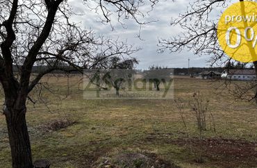 15866905 - zdjęcie ogłoszenia