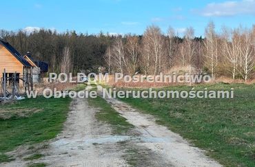 15868756 - zdjęcie ogłoszenia