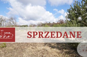 15869099 - zdjęcie ogłoszenia
