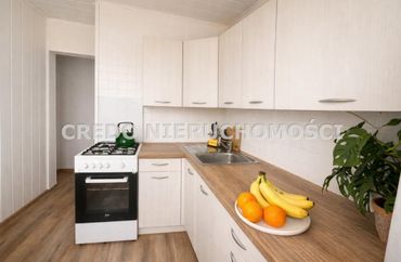 15876601 - zdjęcie ogłoszenia