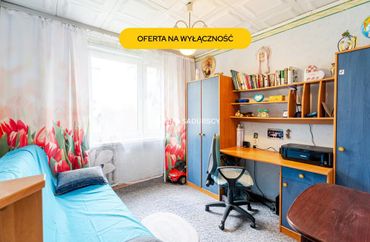 15876696 - zdjęcie ogłoszenia