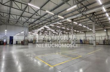 15882950 - zdjęcie ogłoszenia